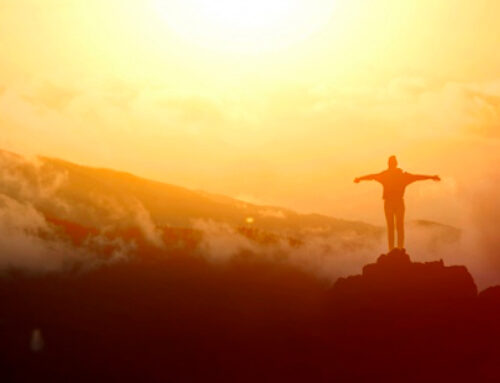 Praesent suscipit m1