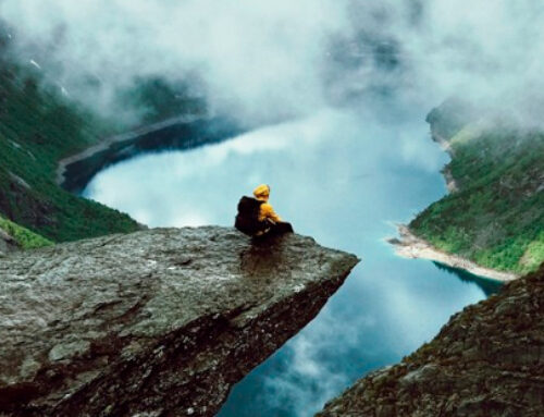 Praesent suscipit m2