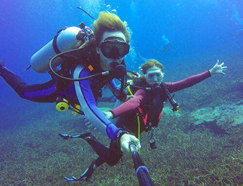 Praesent suscipit m3