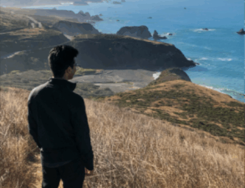 Ashdown Park Hotel,East Sussex, UK